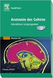 Anatomie des Gehirns 3.0