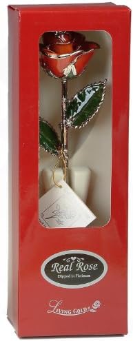 Deep Purple Laquered 24k Gold Dipped Long Stem Genuine Rose In Red Gift Box