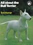 All About the Bull Terrier