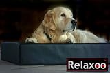 Eigenschaften Tierfreunde-Shop  / Relaxoo Hundebett Chill Relaxbett