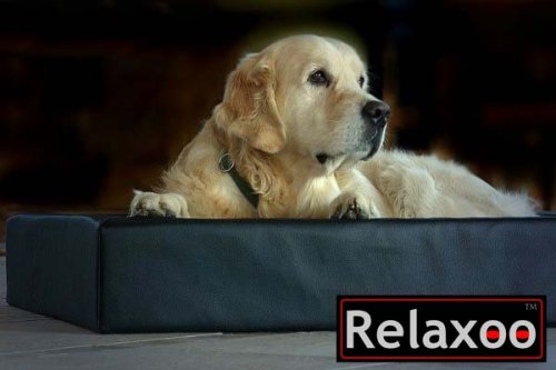 Relaxoo Hundebett Chill Relaxbett