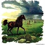 Youth Sweatshirt : Approaching Storm - Wild Horses - Horse
