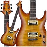 ESP LTD H-101 FM