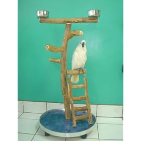 Large Playgym with Ladder (23x22x3 4 plywood formica base) by SBP