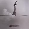Image de l'album de Incubus