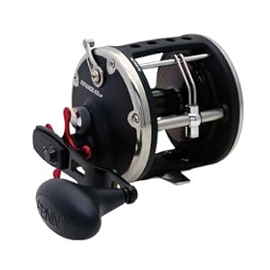 Penn Defiance Level Wind Conventional Reel DFN25LW