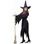 Adult Women's Classic Witch Halloween Costume