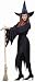 Adult Women's Classic Witch Halloween Costume