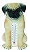 pug21  - Pug Thermometer