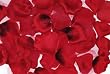 Red -Rose Petals Big Valu
