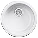 KOHLER K-6565-47 Porto Fino Self-Rimming Undercounter Entertainment Sink, Almond