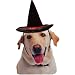 HALLOWEEN FELT WITCH HAT - MEDIUM