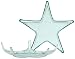 Spanish Recycled Large Glass Star Dish 14"D