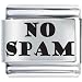No Spam Laser Italian Charm