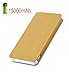 Wish House 15000mAh Ultra Slim High Capacity Dual USB Power Bank for Select Models - Gold