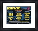 DOWNLOAD FESTIVAL Donington Park 2005 - Framed Original Advert