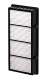 Holmes HAPF300D-U2 HEPA Replacement Filter, 2 pack