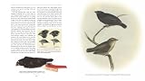 On the Origin of Species: The Illustrated Edition