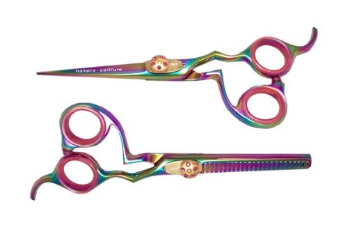Duo Ciseaux de Coiffure BN5