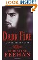 Dark Fire: The 'Dark' Carpathian Series: Book 6