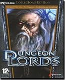 Dungeon Lords Collector's Edition
