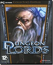 Dungeon Lords Collector's Edition