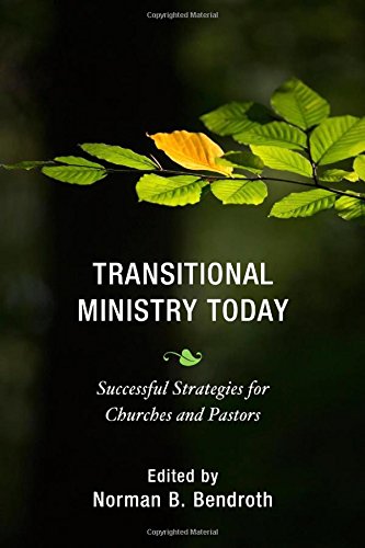 Transitional Ministry Today: Successful Strategies for Churches and Pastors