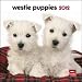 West Highland White Terrier Puppies 2012 Small Wall Calendar