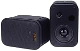 Pyramid 3080 3.5-Inch 2Way 300 Watt bookcase speaker and Studio Monitor