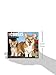 2016 Just Corgis Box Calendar