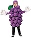 Forum Novelties Child's Purple Grapes Costume, One Size