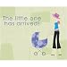 Birth Annct. Fld Mod Mom's Shower - 48 Count