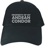 CAPS BLACK EMBROIDERY 