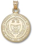 Georgia Tech Yellow Jackets Buzz 5/8 Pendant - Sterling Silver Jewelry