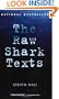 The Raw Shark Texts: A Novel