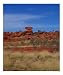 Balance Scenic Photographic Poster Print by Wild Inspirations, 16x20