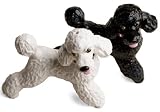 \"Poodle