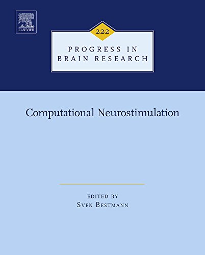 Computational Neurostimulation (Progress in Brain Research)
