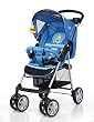 Hauck 150443 - Shopper 6 Panorama Pooh blue