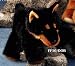 Floppy Family 10" Doberman