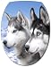 Sticker Autocollant Abattant WC Chiens 26x34cm+ réf 042