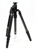 S-1205-N