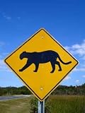 Panther-crossing Road Sign in Florida Everglades National Park. - 24"H x 18"W - Peel and Stick Wall Decal by Wallmonkeys