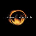 Tribute to a Perfect Circle