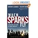 When Sparks Fly: Harnessing the Power of Group Creativity
