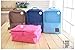 Kittymouse Travel Storage Shoes Bags Waterproof Foldable and Breathable Shoes Pouch Bag (3 Shoes Bit, Double)