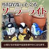 小鳥が寄ってくるソーラーライト 3個組セット