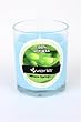 Mineral Springs Soy Candle in Frosted Glass Tumbler