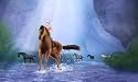 Petz Horsez Club