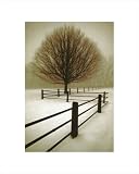 Solitude by David Lorenz Winston,16 in. x 20 in.